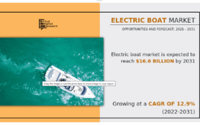 Recent delays in the launch of electric boats will not stop the market trebling in size over the next 10 years